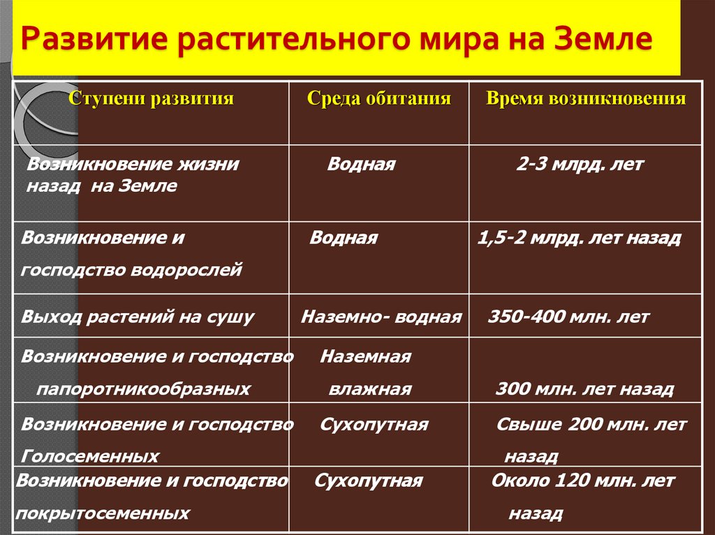 Презентация развитие растительного мира 6 класс