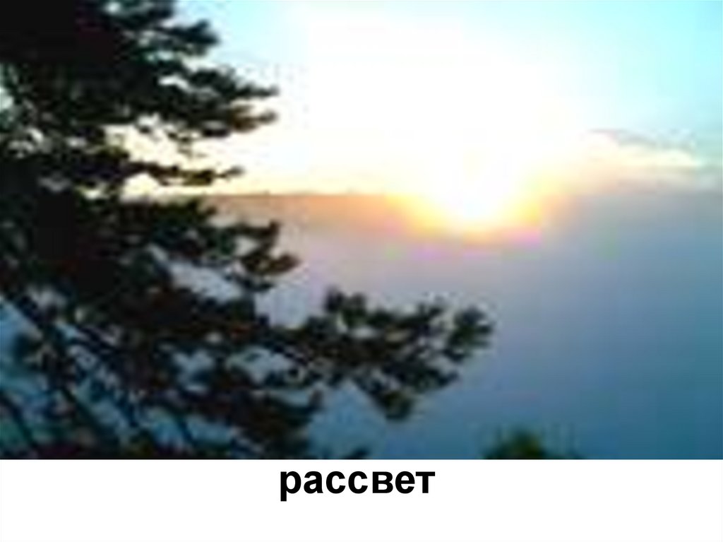 рассвет