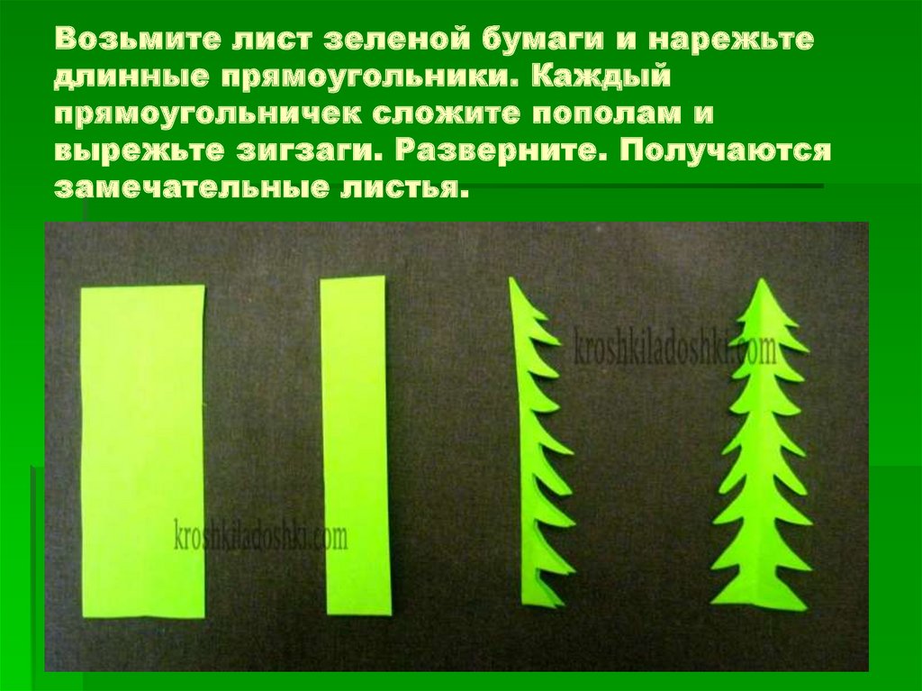 Возьмите лист зеленой бумаги и нарежьте длинные прямоугольники. Каждый прямоугольничек сложите пополам и вырежьте зигзаги.