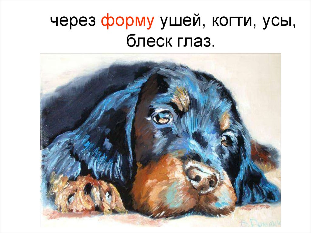 через форму ушей, когти, усы, блеск глаз.