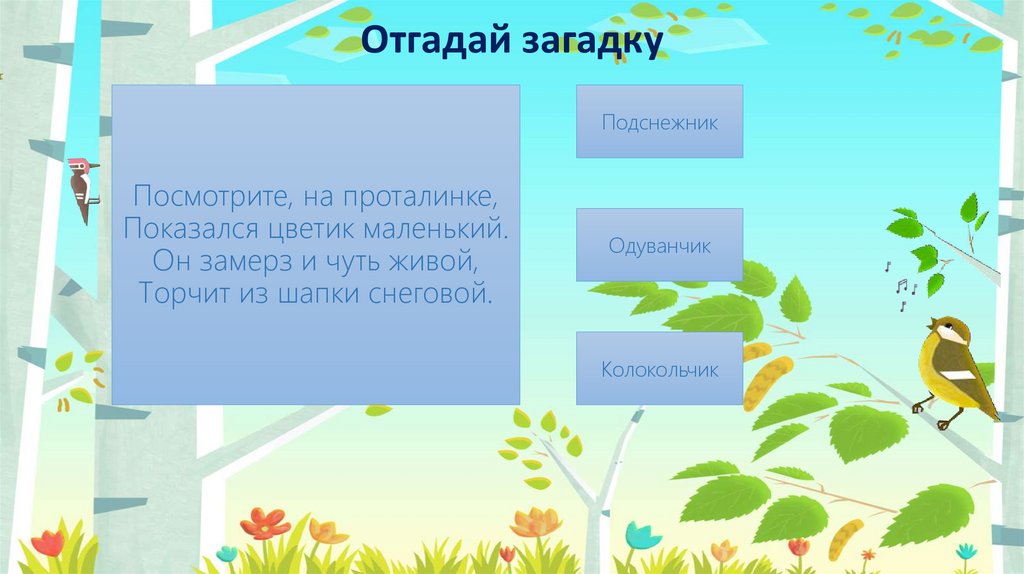 Посмотрите, на проталинке, Показался цветик маленький. Он замерз и чуть живой, Торчит из шапки снеговой.