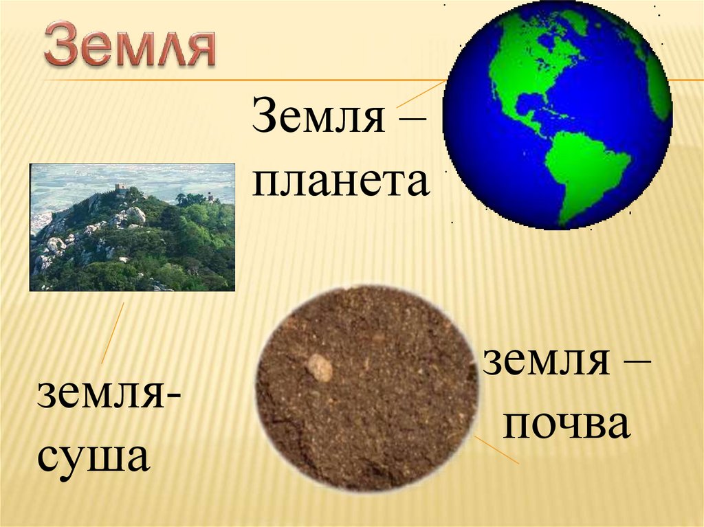 Почва презентация 6