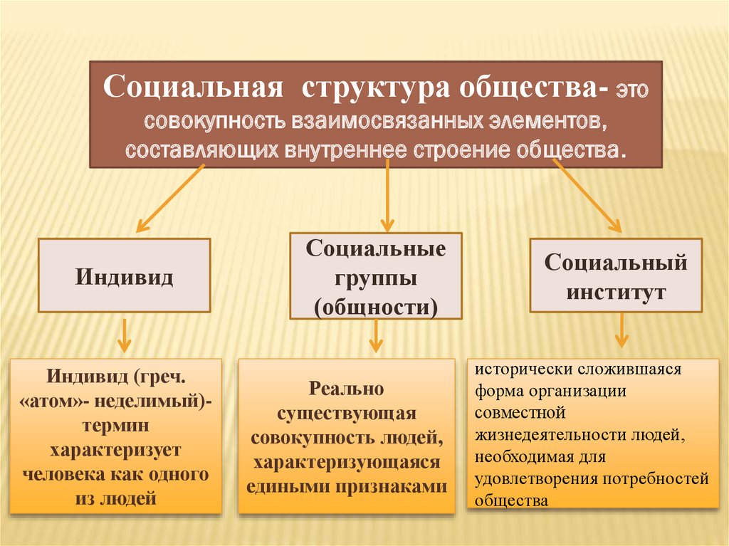 Социальная структура общества ее элементы