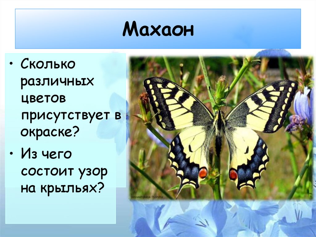 Урок изо 1 класс узоры на крыльях