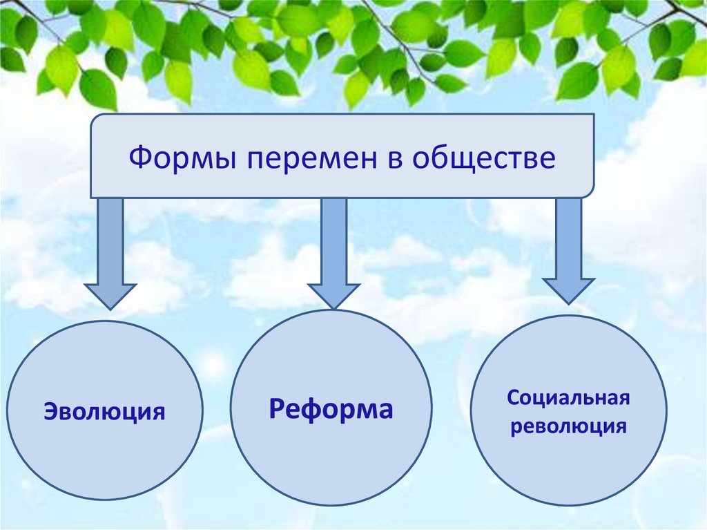 Пути развития общества эволюция революция реформы