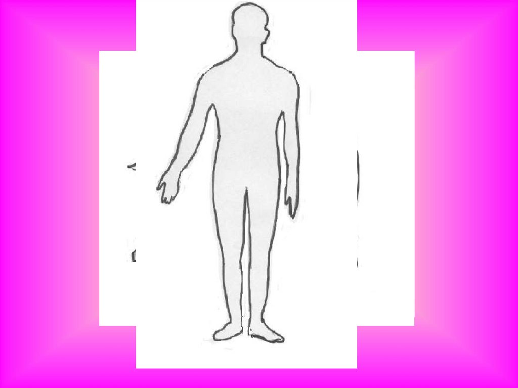 Строение человека модель 2 класс. Модель внутреннее строение тела человека. Макет тела человека 2 класс. Модель аппликация человека. Макет внутреннее строение тела человека.