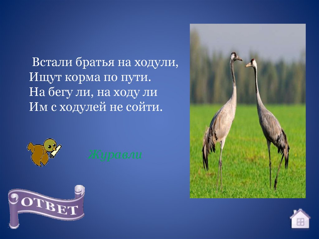 Проснись брат. Встали братья на ходули ищут корма по пути на бегу. Встали братья на ходули. В тали братья на ходули.