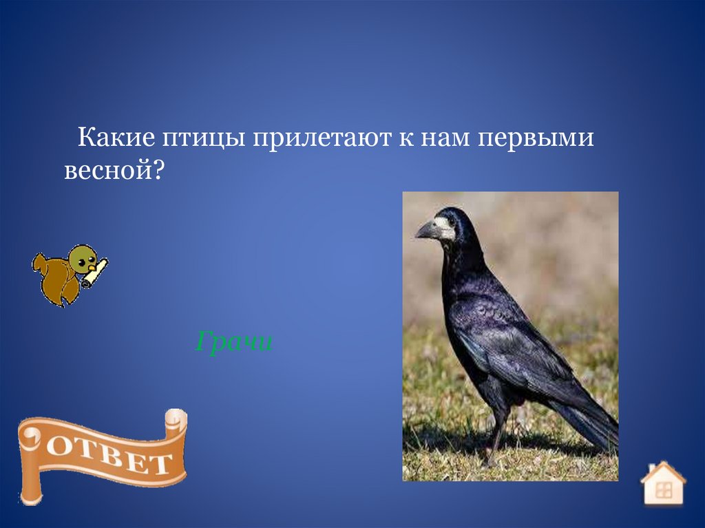 Птица носит название части музыкального инструмента. Какая птица носит название музыкального инструмента. Знаешь ли ты птиц. Какая птица носит название части музыкального.