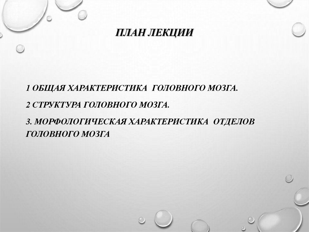 План лекции