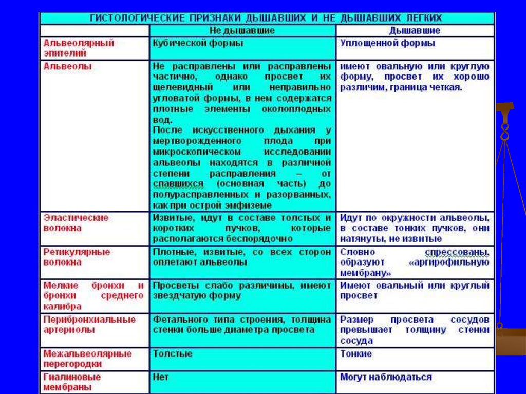 Судебно медицинская экспертиза трупа презентация