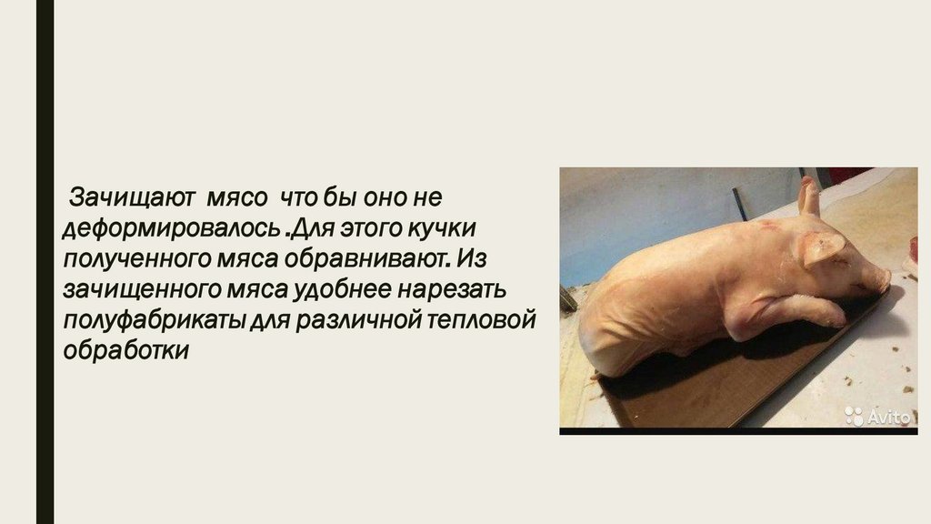 Молочный поросенок - презентация онлайн