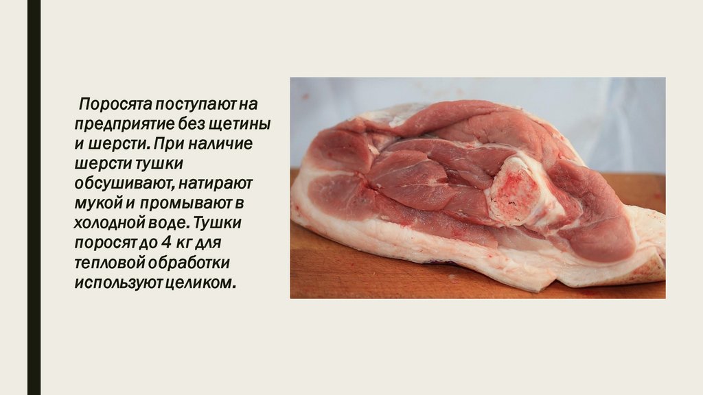 Молочный поросенок - презентация онлайн