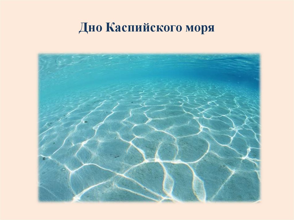 Дно Каспийского моря