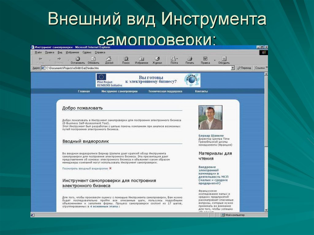 Внешний вид Инструмента самопроверки: