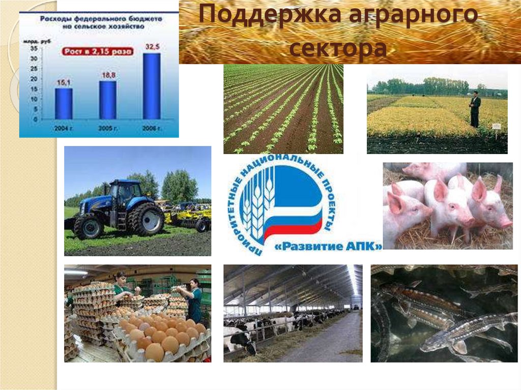 Поддержка аграрного сектора