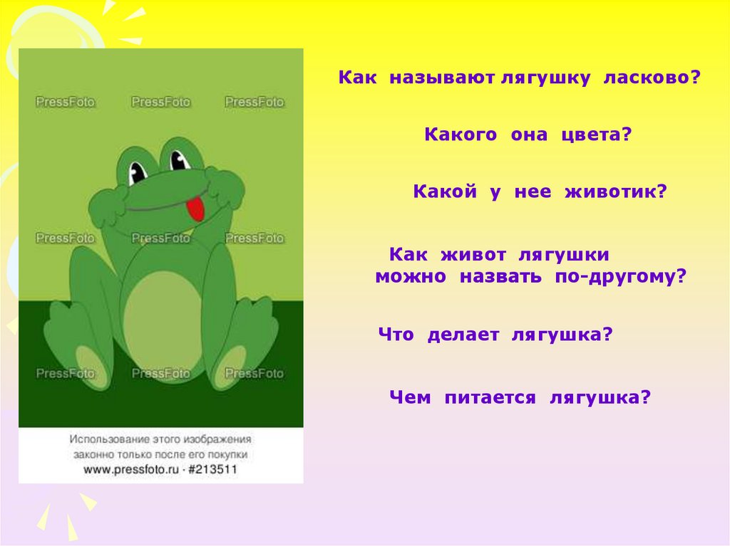 Как ласково обозвать. Имя для Жабы. Как назвать лягушку мальчика. Имена для лягушек. Кличка для лягушки.