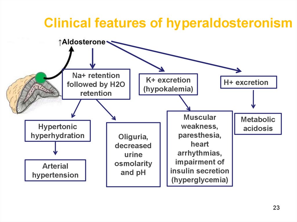 Clinical features of hyperaldosteronism