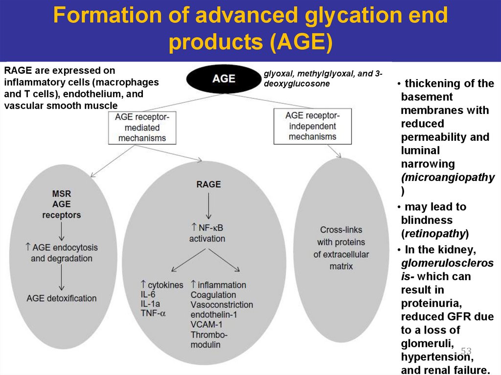 Formation of advanced glycation end products (AGE)