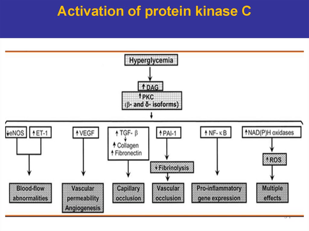 Activation of protein kinase C