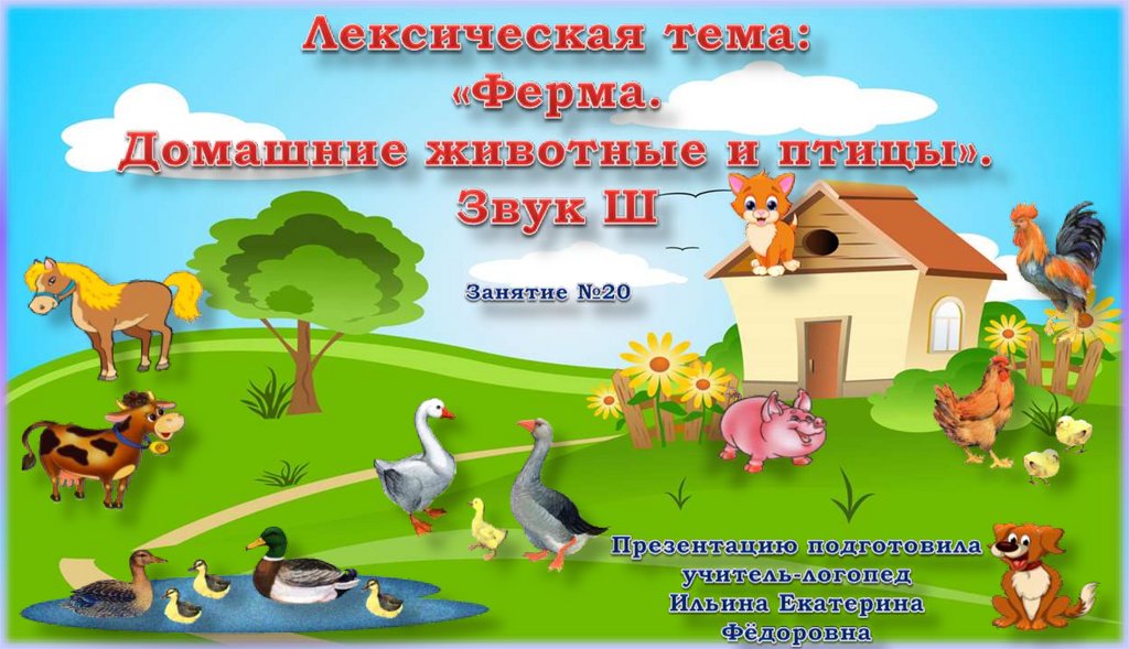 Домашние птицы презентация