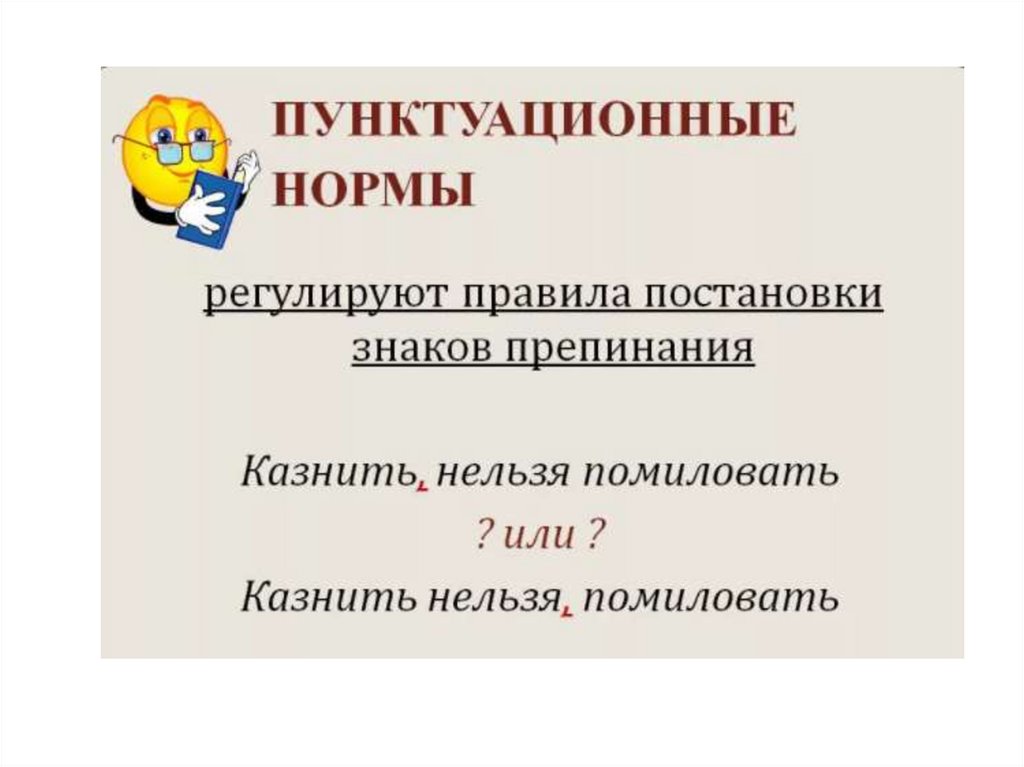 Пунктуационные правила примеры. Пунктуационные нормы. Языковые нормы пунктуационные. Пунктуационные нормы русского литературного языка. Пунктуационные нормы примеры.