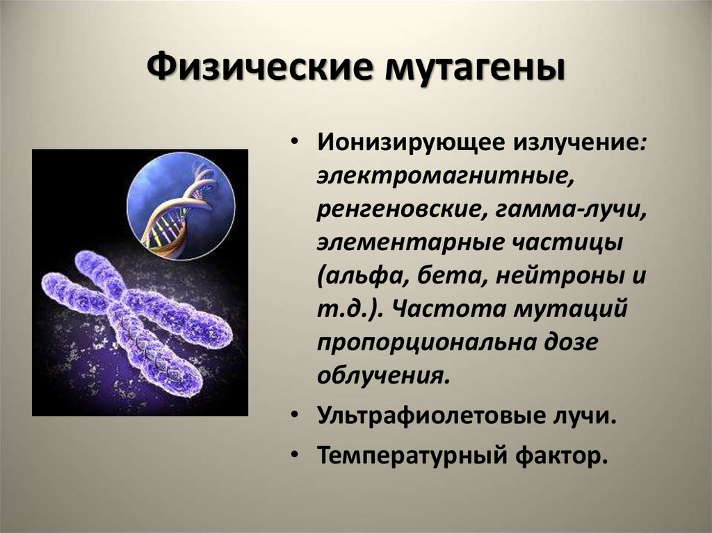 Какие организмы вызывают. Физические мутагенные факторы. Физические мутагены гамма лучи. Физические и химические мутагены. Мутационные факторы физические биологические химические.