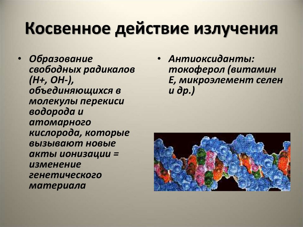 Вещества являющиеся одновременно и канцерогенами и мутагенами. Косвенное действие излучения. Бытовые мутагены. Косвенное действие радиации. Бытовые химические мутагены.