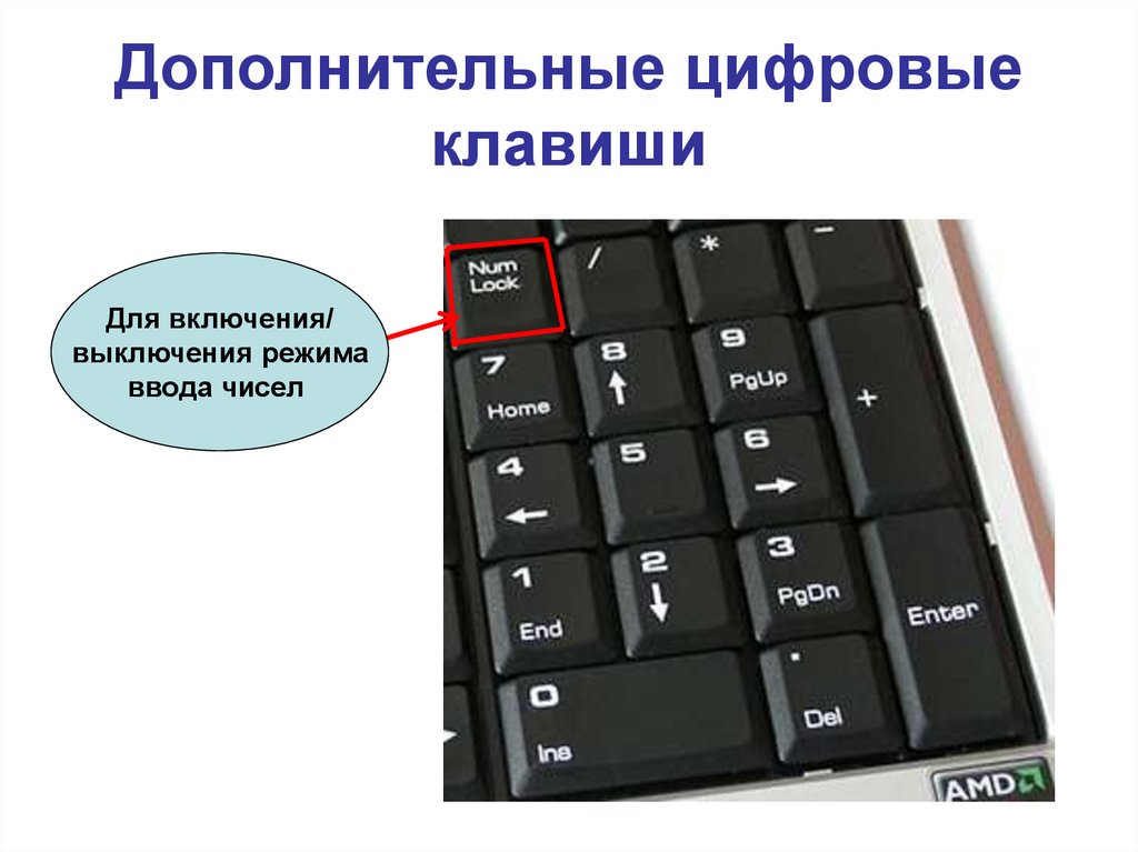 Можно с помощью клавиши. Клавиши дополнительной клавиатуры. Включение дополнительной клавиатуры. Клавиатура с дополнительными кнопками. Включение дополнительной цифровой клавиатуры.