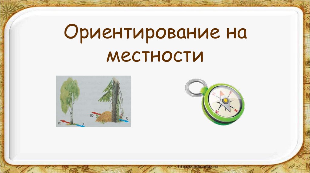 Ориентирование на местности презентация