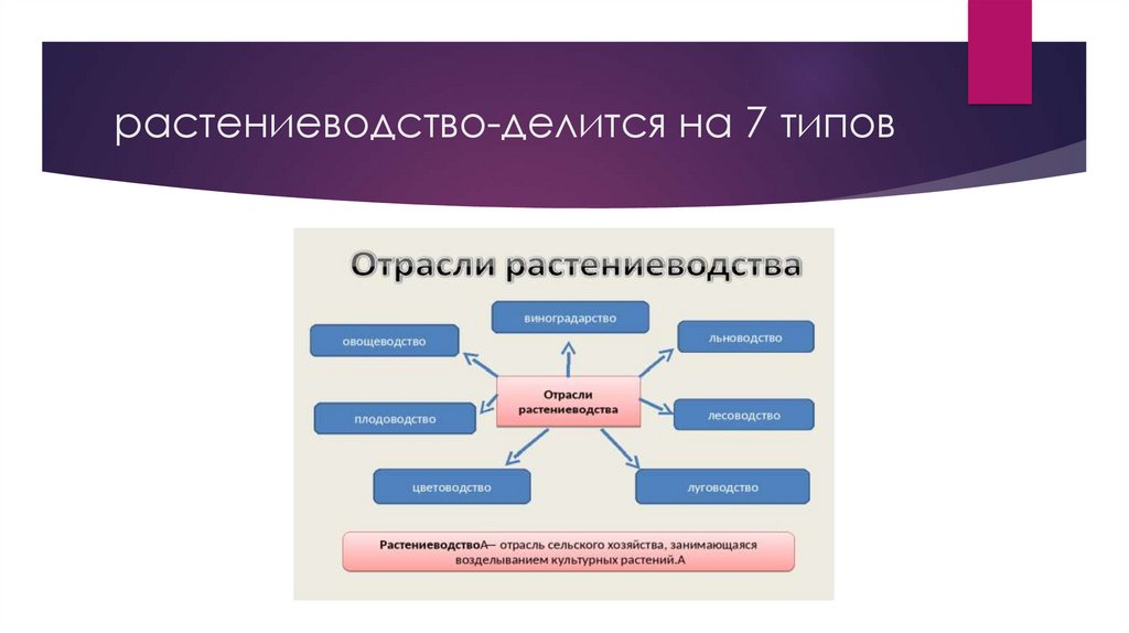 На какие отрасли делится растениеводство заполни схему