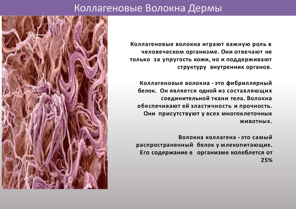 Презентация плазма 10 класс