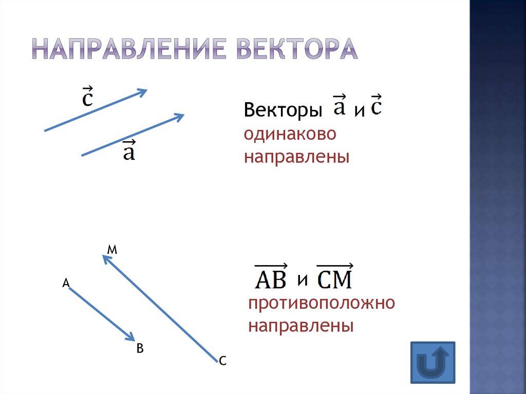 Противоположные длины. Направление вектора. Одинаково направленные векторы. Расположение вектора по направлениям. Противоположное направление вектора.