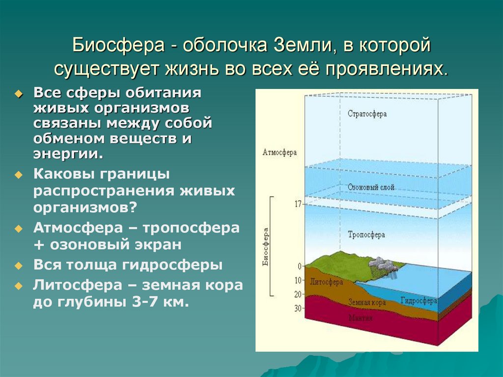 Составляющие географической оболочки. Строение географической оболочки. Структура географической оболочки. Оболочки биосферы. Мощность географической оболочки.