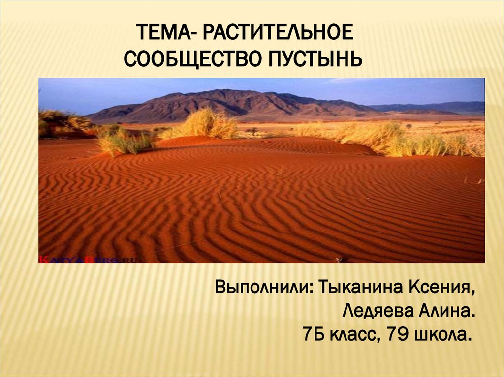 Растительное сообщество пустыня. Растительные сообщества пустыни 7 класс. Пустыня как сообщество. Природное сообщество пустыня.