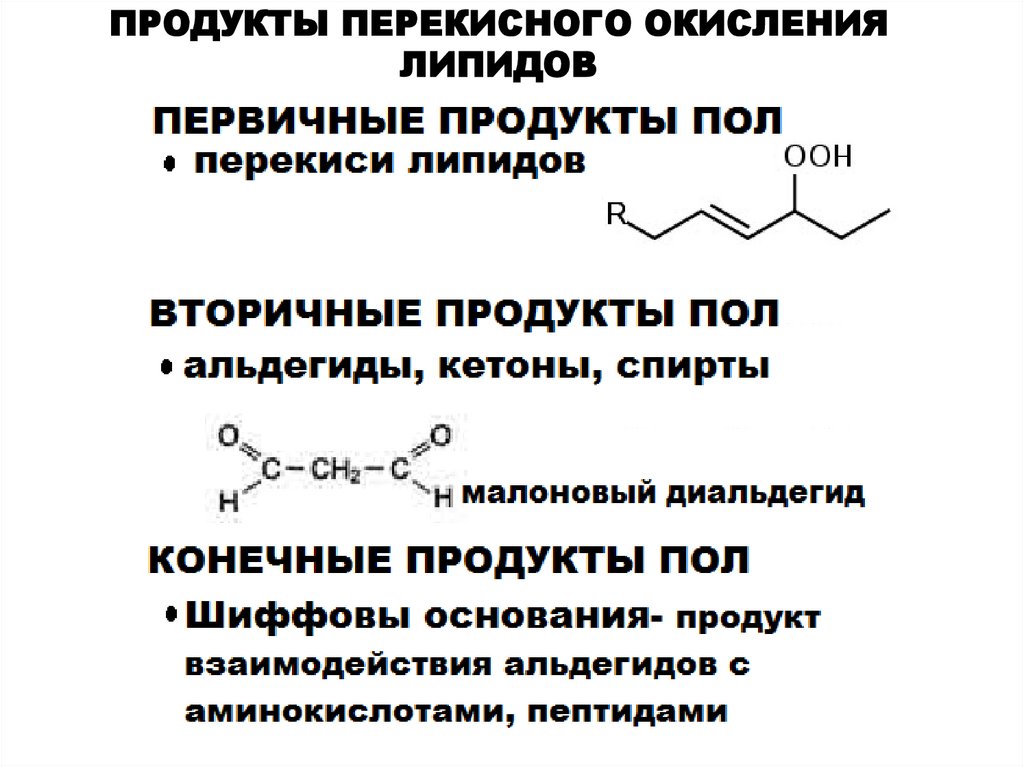 Схема пол биохимия