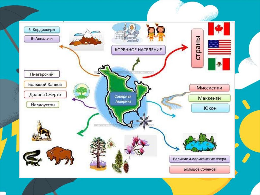 Интеллект карта среды жизни. Ментальная карта Северной Америки по географии 7 класс. Ментальная карта Северной Америки по географии 7. Интеллект карта по США география 7 класс. Ментальная карта по географии.