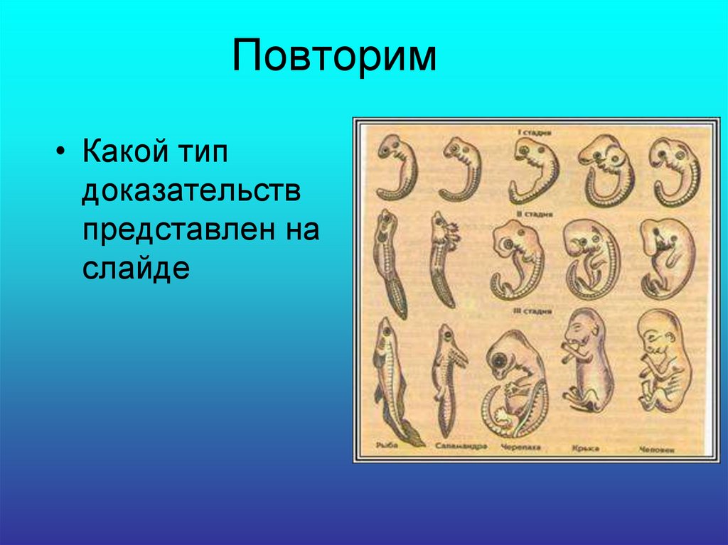 Первой представляет доказательства. Прогресс и регресс плоских червей.