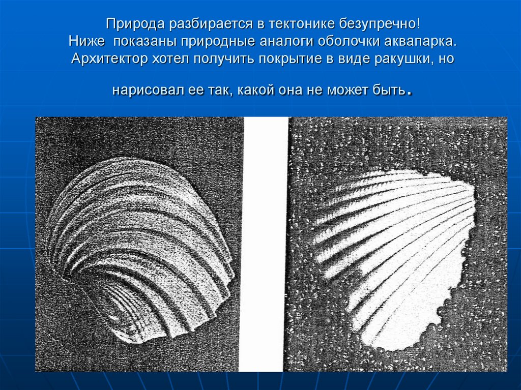 Природа разбирается в тектонике безупречно! Ниже показаны природные аналоги оболочки аквапарка. Архитектор хотел получить