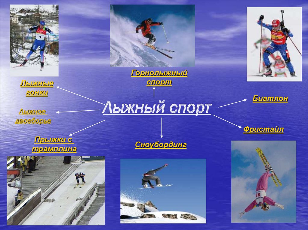 Доклад по лыжам 3 класс. Виды спорта на лыжах. Виды лыжного спорта. Темы по лыжному спорту. Лыжный спорт доклад.