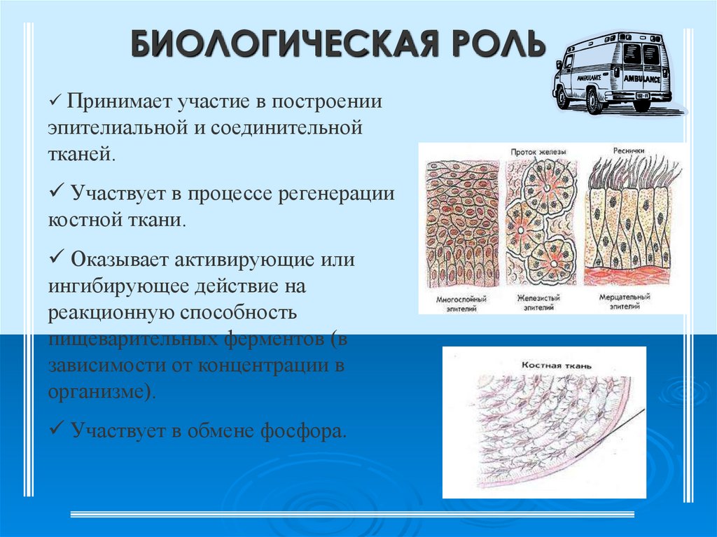 Сколько алюминия в организме человека. Влияние алюминия на организм человека. Воздействие алюминия на организм. Влияние алюминия на организм человека слайды. Влияние алюминия на живые организмы.