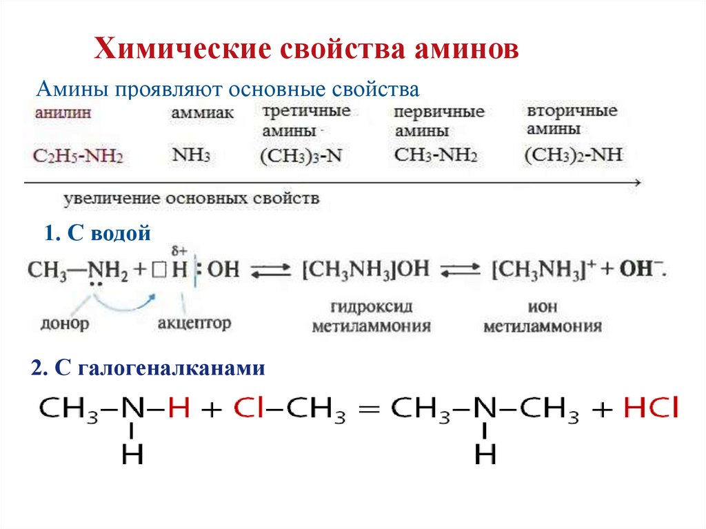 Более сильные основания чем метиламин. Химические свойства аминокислот кислотно-основные свойства. Химические свойства Аминов взаимодействие с кислотами. Этиламин плюс формальдегид. Вторичный Амины с водой реакция.
