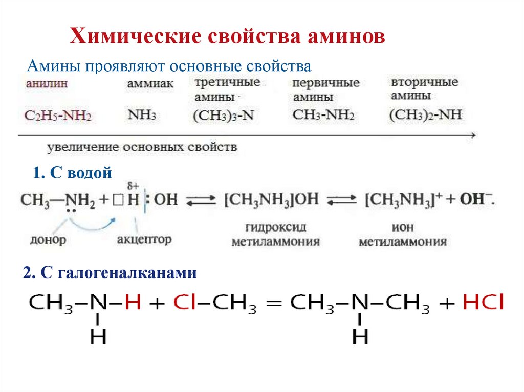 Расположите предложенные вещества. Химические свойства Аминов на примере метиламина. Формальдегид плюс этиламин. Вторичные Амины с водой реакция. Первичные Амины химические свойства.