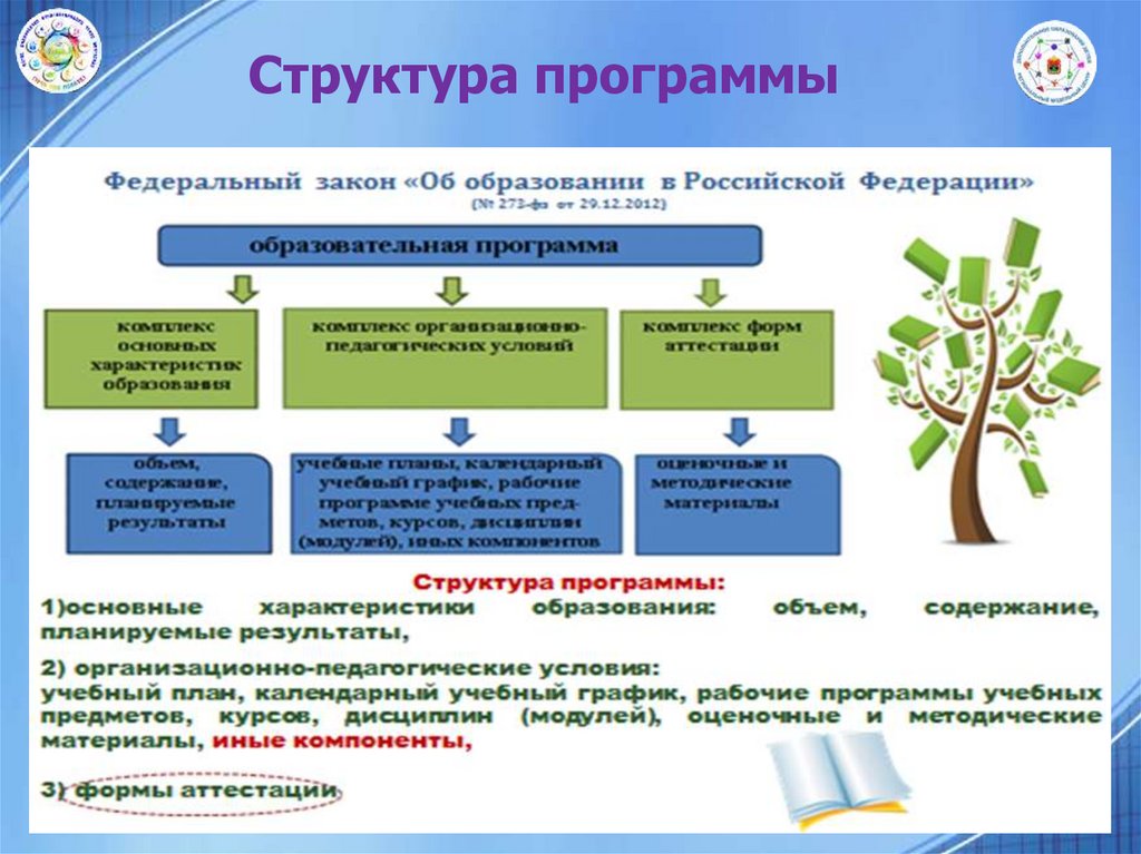 Структура программы дополнительного образования презентация