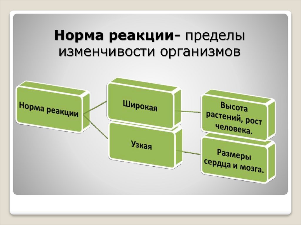 Широта реакции