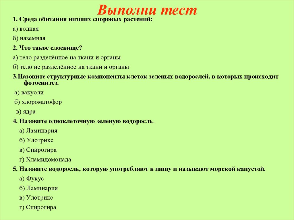 Выполнить тест по теме