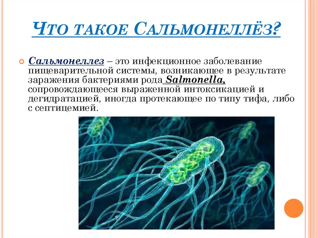 Сальмонеллез рекомендации