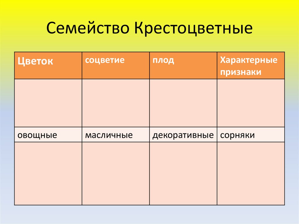 Семейство крестоцветные 7 класс