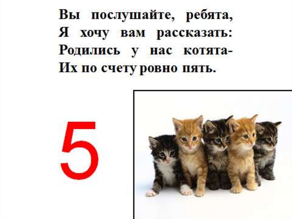 Считаем до 5 презентация