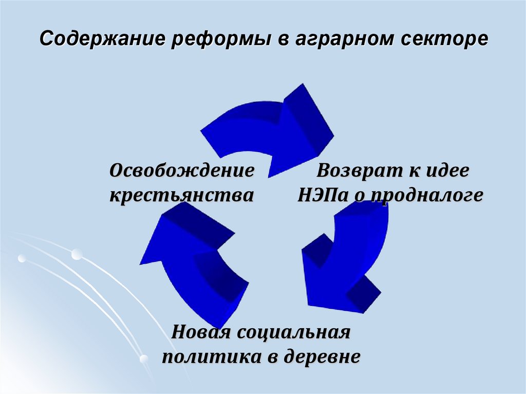 Содержание реформы в аграрном секторе