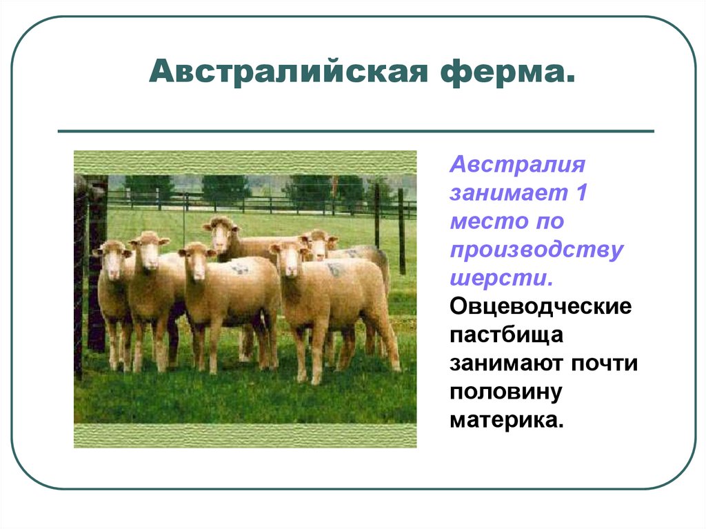 Каков современный рисунок размещения населения и хозяйства австралии какие факторы определили